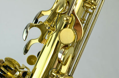 Powell Silver Eagle Alto Saxophone 1 of 18