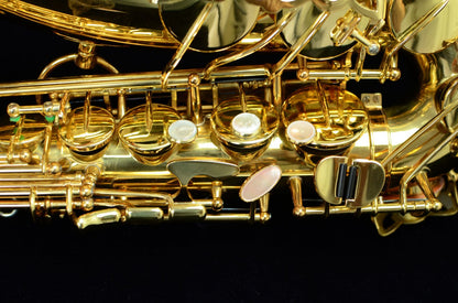 Yanagisawa A-880 Alto Saxophone Near Mint