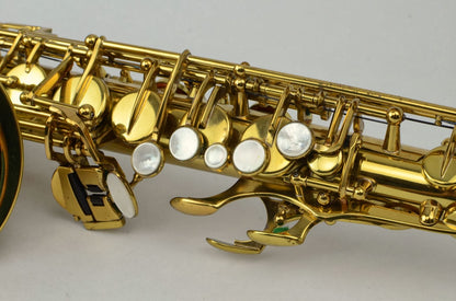 Selmer Mark VI Alto Saxophone 205xxx Near Mint