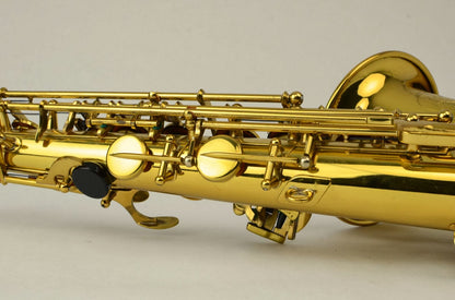 Selmer Mark VI Alto Saxophone 205xxx Near Mint