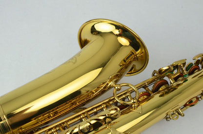 Selmer Mark VI Alto Saxophone 205xxx Near Mint