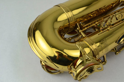 Selmer Mark VI Alto Saxophone 205xxx Near Mint