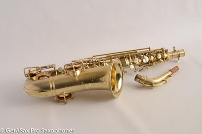 Holton Alto Saxophone Original Gold Plate Beautiful Great Deal 16374