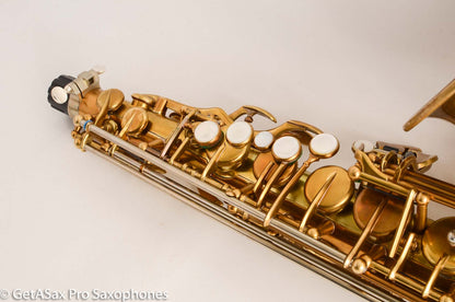 Ishimori Wood Stone New Vintage Alto Saxophone WSA-AF with High F# Antique Finish NEW