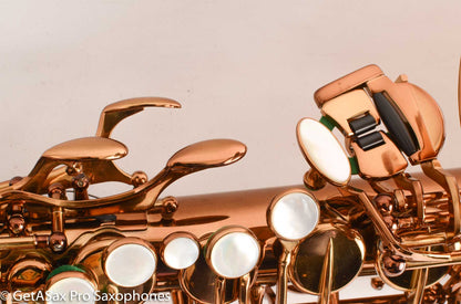 Ishimori Wood Stone New Vintage Alto Saxophone WSA-VL with F# Dark Lacquer NEW