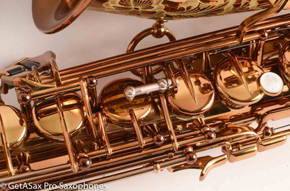 Ishimori Wood Stone New Vintage Alto Saxophone WSA-VL with F# Dark Lacquer NEW