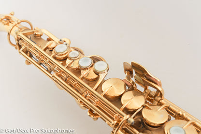 King Saxello Soprano Bent Neck and Bell Original GOLD Plate Fresh Overhaul!
