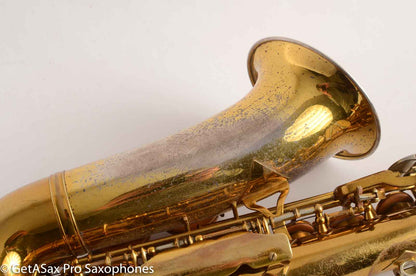 King SilverSonic Super 20 Alto Saxophone Original with Gold Leaf Fresh Overhaul! 346933