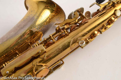 King SilverSonic Super 20 Alto Saxophone Original with Gold Leaf Fresh Overhaul! 346933