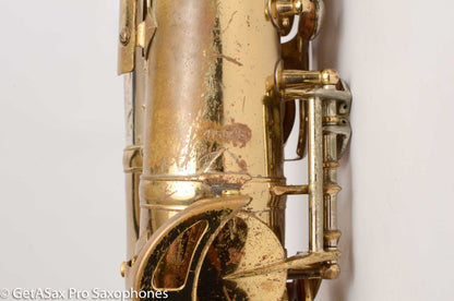 King SilverSonic Super 20 Cleveland Alto Sax with Gold 415048