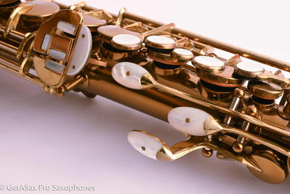 King Zephyr Special Alto Near Mint Matt Stohrer’s Personal Horn Fresh Overhaul! 223117