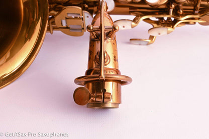 King Zephyr Special Alto Near Mint Matt Stohrer’s Personal Horn Fresh Overhaul! 223117
