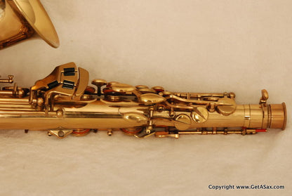 SML Rev. D Alto Saxophone Mint