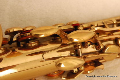 SML Rev. D Alto Saxophone Mint