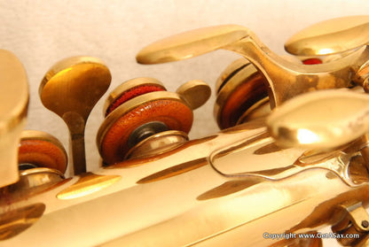 SML Rev. D Alto Saxophone Mint