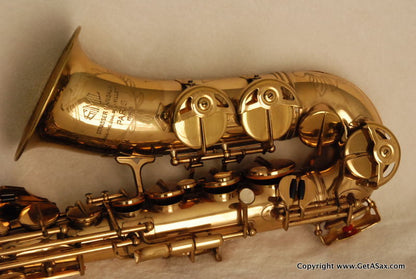 SML Rev. D Alto Saxophone Mint