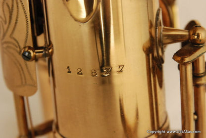 SML Rev. D Alto Saxophone Mint