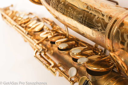 Selmer Cigar Cutter Super Sax Alto Original Gold Plate Near Mint Low Miles Matt Stohrer Overhaul