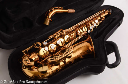 Selmer Mark VI Alto 1968 Original Lacquer No Past Damage Bill Singer Overhaul Excellent! 158302