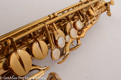 Selmer New Largebore Alto Relac Great Deal! 13045