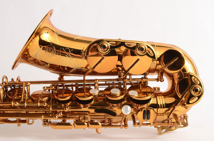 Selmer Reference 54 Alto Near Mint Great Deal! 66xxx 2005