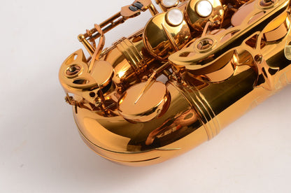 Selmer Reference 54 Alto Near Mint Great Deal! 66xxx 2005