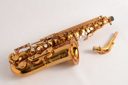 Selmer Reference 54 Alto Near Mint Great Deal! 66xxx 2005