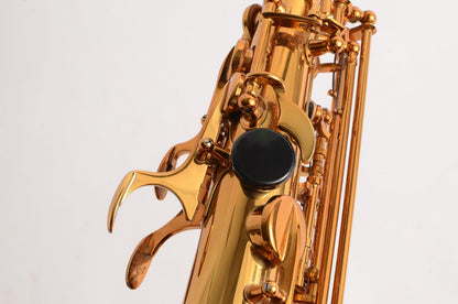 Selmer Reference 54 Alto Near Mint Great Deal! 66xxx 2005