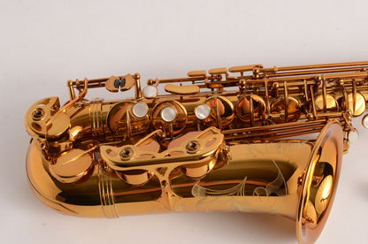 Selmer Reference 54 Alto Near Mint Great Deal! 66xxx 2005