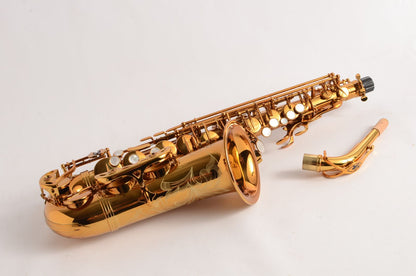 Selmer Reference 54 Alto Near Mint Great Deal! 66xxx 2005