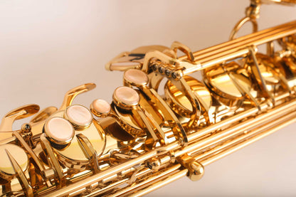 Selmer Reference 54 Tenor Saxophone Near Mint Beautiful! Full Setup