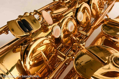 Selmer Reference 36 Tenor Near Mint and Recent Overhaul Fantastic! 635957