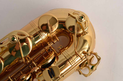 Selmer Reference 36 Tenor Near Mint and Recent Overhaul Fantastic! 635957