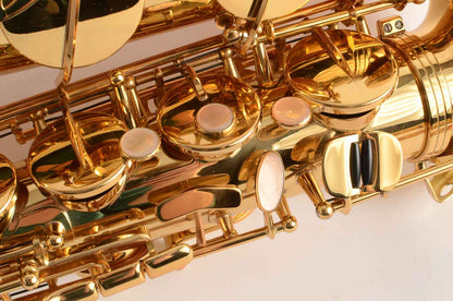 Selmer Reference 36 Tenor Saxophone Mint + Overhauled! BAM / Selmer Case Great Deal 635957