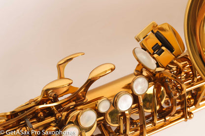 Selmer Reference 54 Alto Excellent Condition Freshly Overhauled 679367