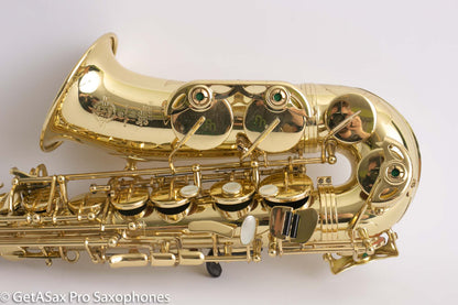 Selmer Super Action 80 Series II Alto Full High End Overhaul!! Excellent