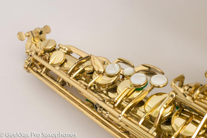 Selmer Super Action 80 Series II Alto Full High End Overhaul!! Excellent
