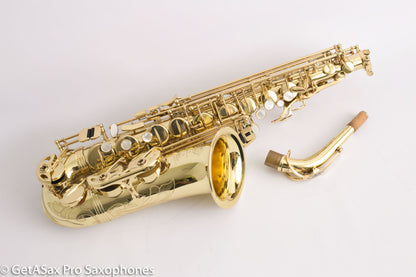 Selmer Super Action 80 Series II Alto Full High End Overhaul!! Excellent