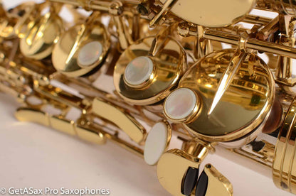 Selmer Series III Alto Saxophone  SOLID Sterling SILVER Near Mint w/ Full Overhaul