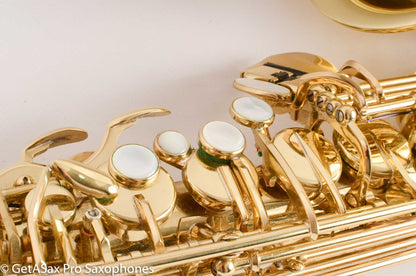 Selmer Series III Alto Saxophone 596204 Near Mint Condition Great Deal!
