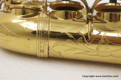 Selmer Mark VI Alto Saxophone 223xxx