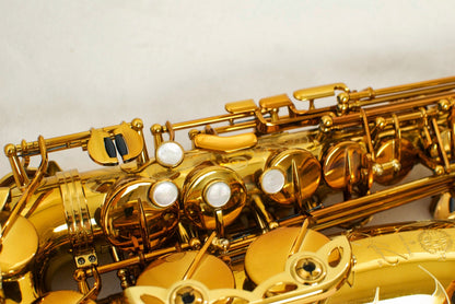 Selmer Reference 54 Alto 710xxx