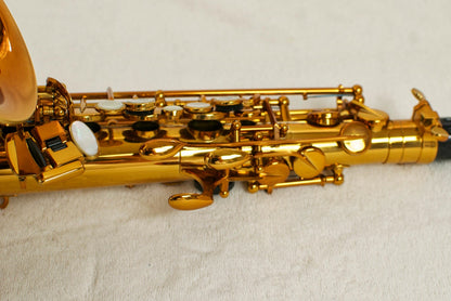Selmer Reference 54 Alto 710xxx