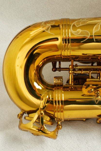 Selmer Reference 54 Alto 710xxx