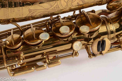 Selmer Dorsey Alto 28669 Beautiful