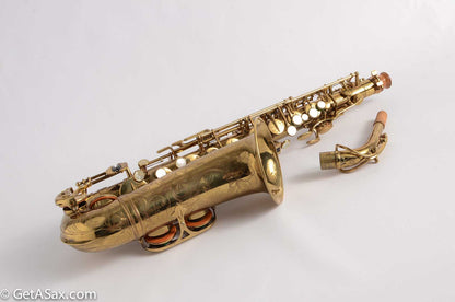 Selmer Dorsey Alto 28669 Beautiful