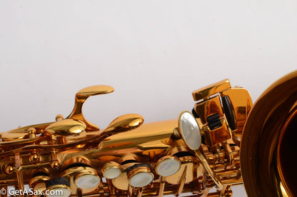 Selmer Reference 54 Alto Near Mint + Setup