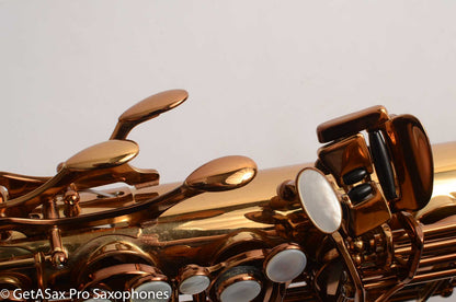 Tenor Madness Custom 500SL Tenor Saxophone - New Lacquered