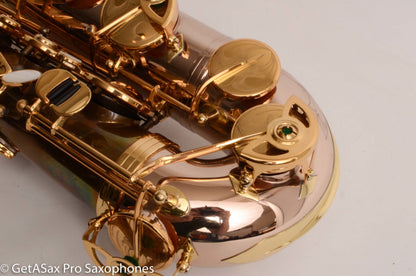 Theo Wanne MOKSHA Tenor Rare and Super Deluxe Mantra – Fully Engraved 20002