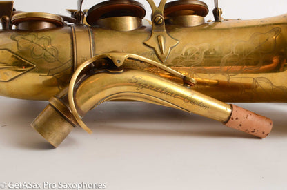 Trevor James Signature Custom Raw Alto T8919